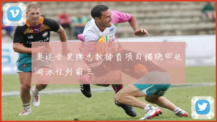 奥运会奖牌总数榜首项目揭晓田径游泳位列前三