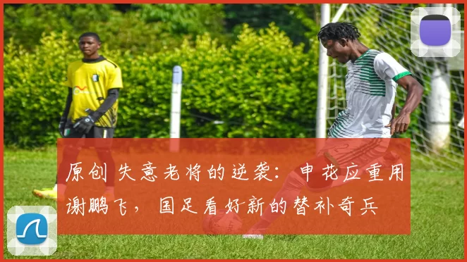 原创 失意老将的逆袭:申花应重用谢鹏飞,国足看好新的替补奇兵